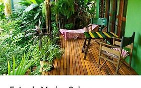 Jardin De Naipi 2